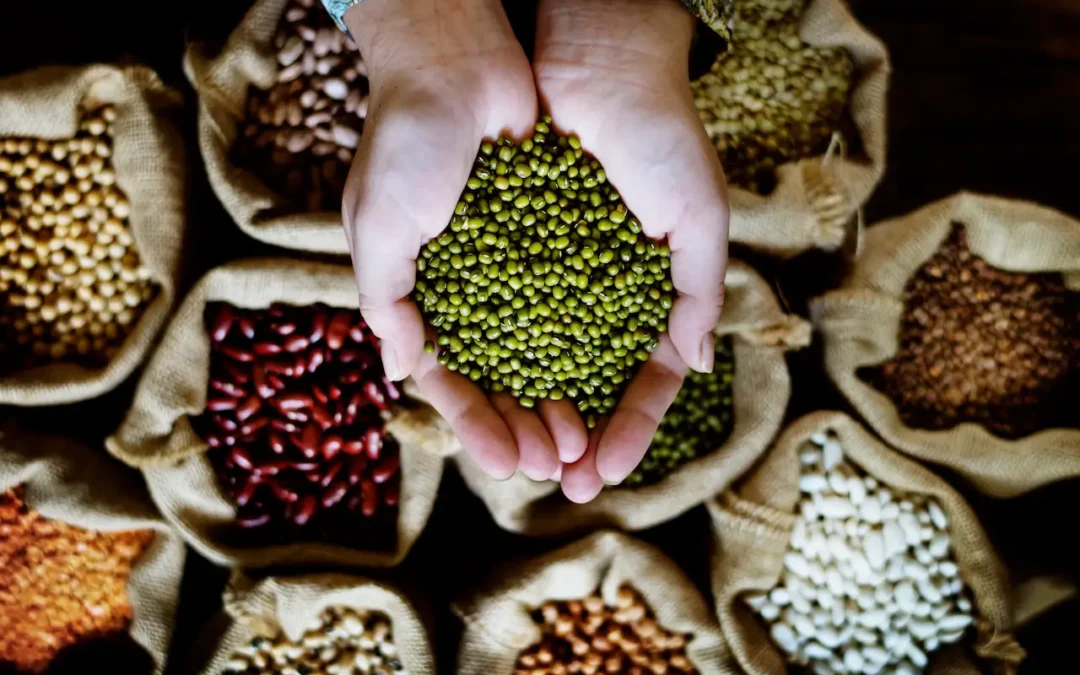 Cómo encontrar proveedores de alimentos de calidad en España