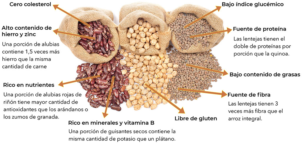 Productos de nuestra tierra - Garbanzo Garbanzo Castellano Lliones 1 Kg - Imagen 3
