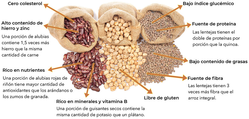 Productos de nuestra tierra -